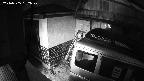 yotec3-20240505192028.jpg