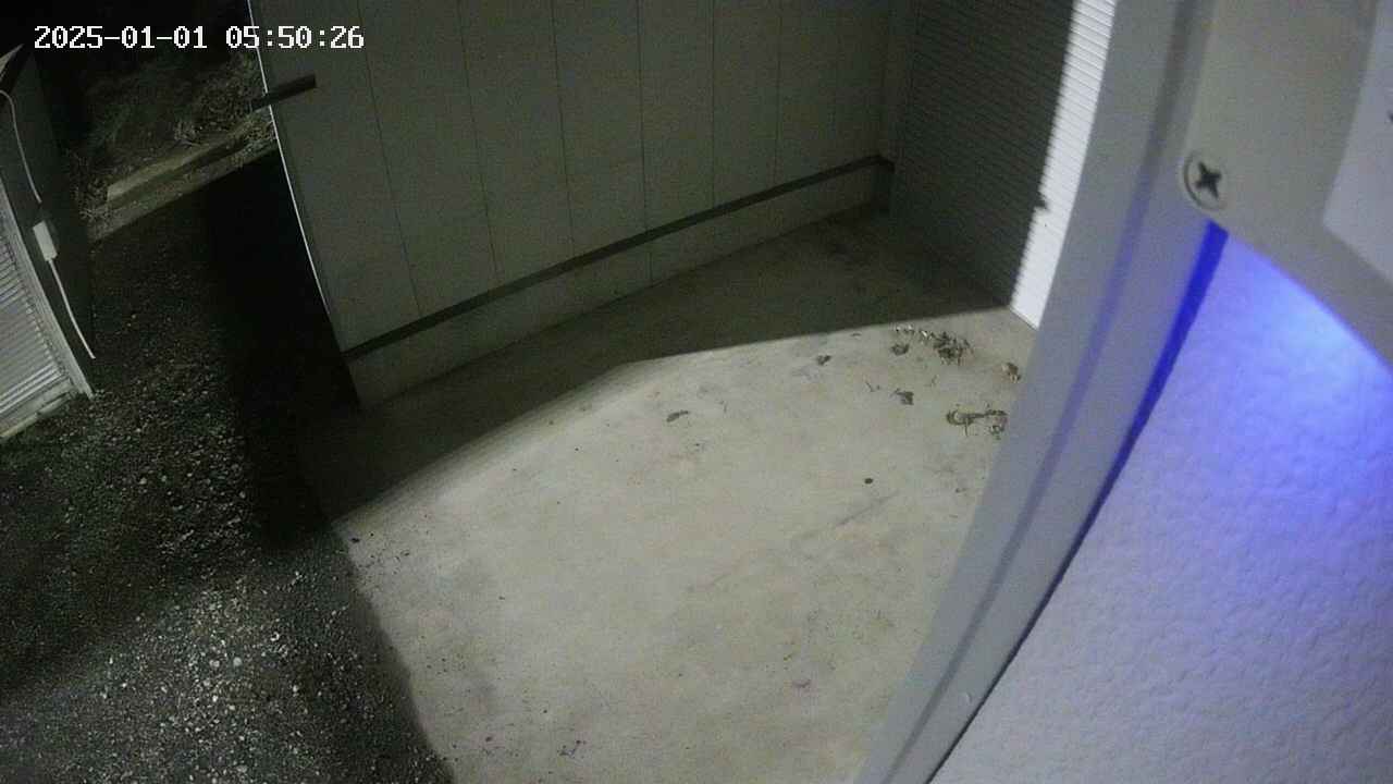 yotec3-20250101055027.jpg
