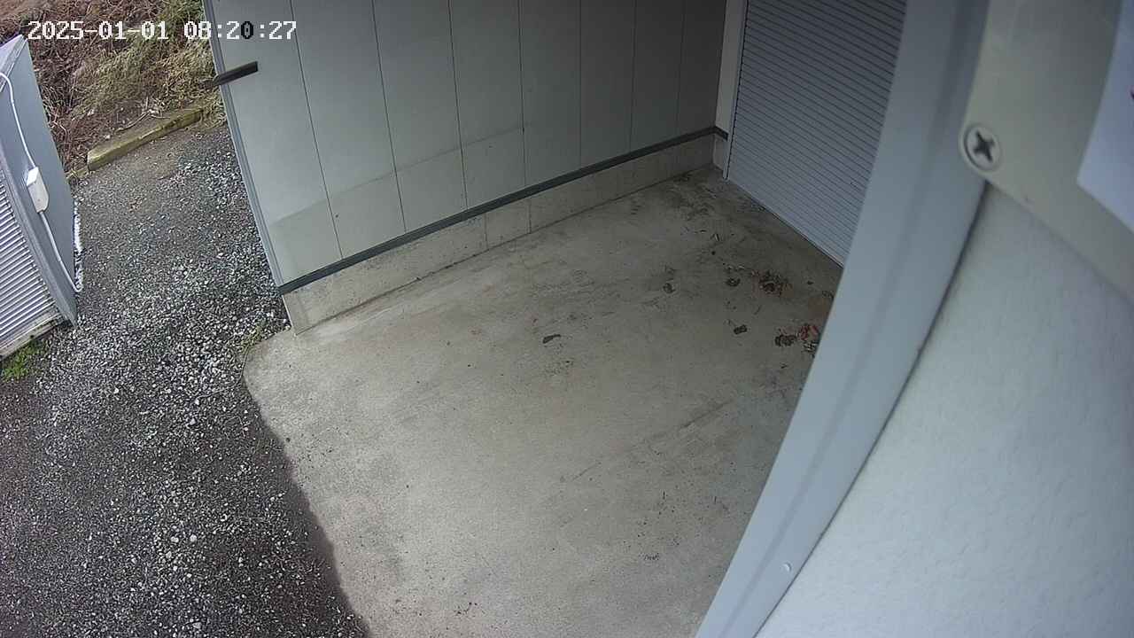 yotec3-20250101082028.jpg