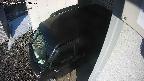 yotec3-20250202083029.jpg