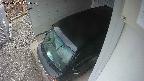 yotec3-20250303064028.jpg