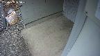 yotec3-20250303125030.jpg