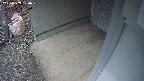 yotec3-20250303130030.jpg