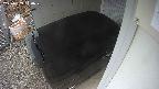 yotec3-20250303140030.jpg