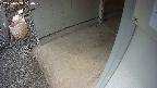 yotec3-20250303150028.jpg
