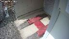 yotec3-20250306132029.jpg