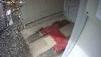 yotec3-20250306150029.jpg