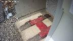yotec3-20250308115028.jpg