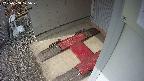 yotec3-20250308125027.jpg