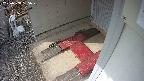 yotec3-20250308135029.jpg