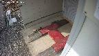 yotec3-20250308141029.jpg