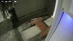 yotec3-20250308184030.jpg