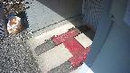yotec3-20250309110029.jpg