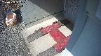 yotec3-20250309112030.jpg