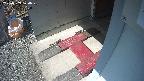 yotec3-20250309120029.jpg