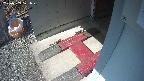 yotec3-20250309121029.jpg