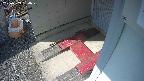 yotec3-20250309134029.jpg
