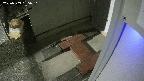 yotec3-20250309185030.jpg