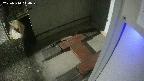 yotec3-20250310010030.jpg