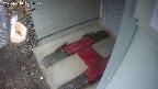 yotec3-20250310071027.jpg