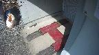 yotec3-20250310101029.jpg