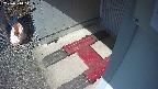 yotec3-20250310111029.jpg