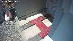 yotec3-20250310121027.jpg