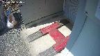 yotec3-20250310124030.jpg