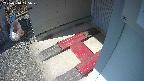 yotec3-20250310125029.jpg