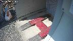 yotec3-20250310131029.jpg