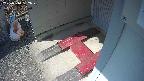 yotec3-20250310132029.jpg