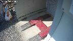 yotec3-20250310134030.jpg