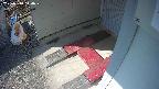 yotec3-20250310140030.jpg