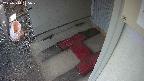yotec3-20250310175029.jpg