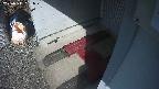yotec3-20250311091029.jpg