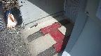 yotec3-20250311101031.jpg