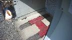 yotec3-20250311103030.jpg