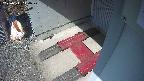 yotec3-20250311110029.jpg