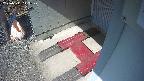 yotec3-20250311113029.jpg