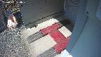 yotec3-20250311120029.jpg