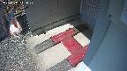 yotec3-20250311121028.jpg