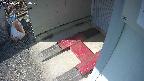 yotec3-20250311134027.jpg