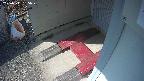 yotec3-20250311135027.jpg