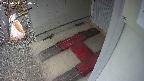 yotec3-20250311150030.jpg