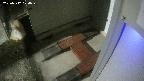 yotec3-20250312020029.jpg