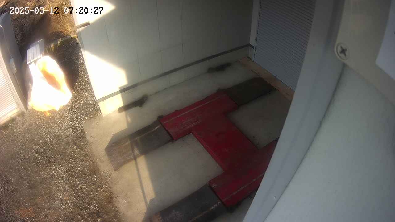 yotec3-20250312072028.jpg