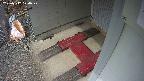 yotec3-20250312120029.jpg