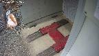 yotec3-20250312122030.jpg