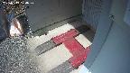 yotec3-20250313120029.jpg