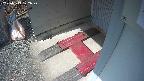 yotec3-20250313122028.jpg